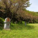 상주 천주교 신앙고백비 | 경북 상주 신앙고백비- 천주교 성지 스탬프 - 상주 신앙고백비 방문기