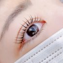 더래쉬 디자인스튜디오
