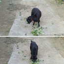 한태목장 이미지