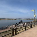 문화꽃화원 | 화원유원지 사문진 주막촌 달성 아이랑 주말 나들이 점심