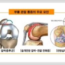 올바른체형연구소