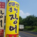 풍천민물장어도소매 이미지