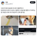 이거 누구야? 진짜 눈쌀 찌푸려지네 이미지