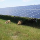 신흥3태양광발전소 이미지