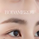 보담브로우
