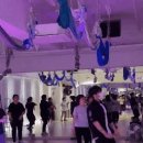 줌바피트니스 이미지