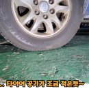 영카센타 이미지