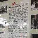 새통영횟집 이미지