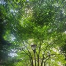 광덕산근린공원 이미지