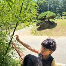 메가커피고대점 | 오산 아이와 가볼만한곳 물향기수목원 입장료무료 가족나들이 후기