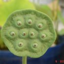 강숙이농장 이미지