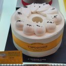 햇내로L 이미지