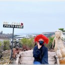 미스터크랩태흥