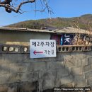 카페07 | F 07. [내돈내산]청도 대형 카페 오감즈(OGAMZ) 방문 후기