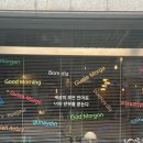오르페우 | 순천 연향동 카페 오르페우, 혼자 가기 좋은 감성 LP 카페 내돈내산