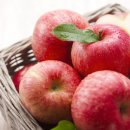 케어사이드코리아 이미지