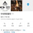 안성캠핑불멍 이미지
