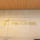 정교한치과의원 네이버블로그