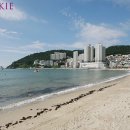 섹시쿠키부산 네이버블로그