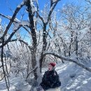 무주읍159 | 무주 덕유산 1/17 금요일 후기 곤도라 웨이팅