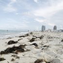 마이애미 이미지