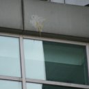 강북삼성병원 이미지