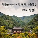 스테이 다연 | 템플스테이 후기