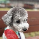 양산유치원 이미지