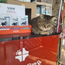 백록동물병원 이미지