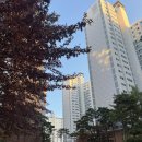 상인역 e편한세상 | 대구 상인역이편한세상1단지 도배 상인역e편한세상1단지 도배 잘 하는 곳 , 달서구 상인동 33평 실크...