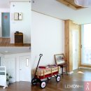 일러스트레이터 이미지