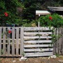 창실농장 이미지