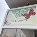 꿈꾸는 나비 | 에버랜드 나비의 꿈꾸는 정원 평일 방문 후기(위치, 관람, 대기 등)