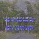 Have You Ever Seen The Rain _C.C.R 이미지