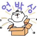 치치돌