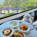 필립 philip | [개놀자_부산] 달맞이길의 오션뷰 다이닝! '필립'