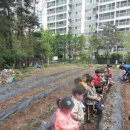 삼풍농장 이미지