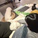 지이수학학원 | 호랑이 굴에 들어가도 점심만 잘 차려 먹으면 산다