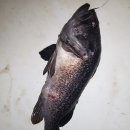 화성락실내바다낚시터 이미지