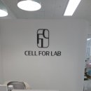 셀링바디 | 옥정동 다이어트 바디슬리밍 셀포랩 아리핏 후기✨