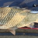 월척낚시터 이미지