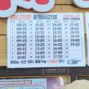 이영현농장 | 2025 곡성 세계장미축제 기차마을 방문후기 입장료 초대가수 주차