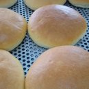 제방기능사 이미지