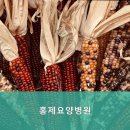 홍제요양병원 이미지