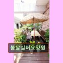 봄날실버센터 | 경기 용인시 요양원 요양센터 정보 봄날실버요양원 아늑한 공간에서 편안한 돌봄