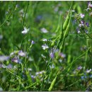 영석농장 이미지