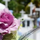 택수목장 이미지