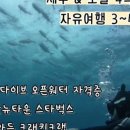 뉴비앤비호텔 이미지