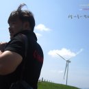 푸르른 태권도장 | 강원도 가족여행 / 대관령 삼양목장 양몰이공연