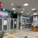 터미날낚시